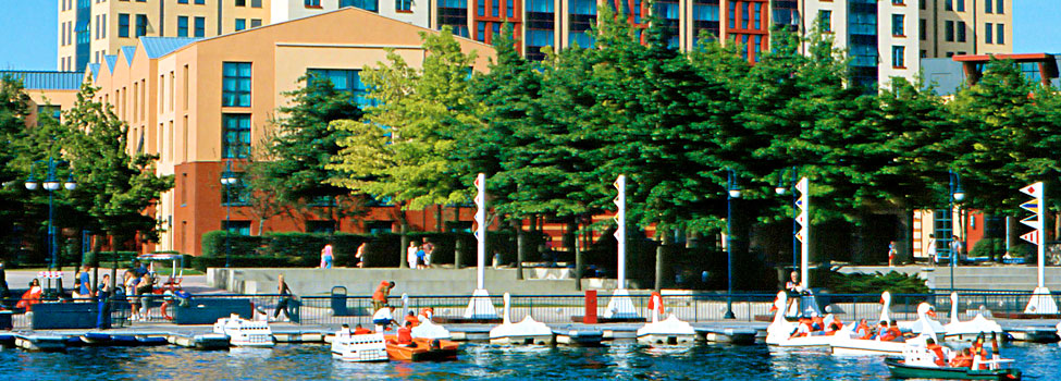Disney´s Hotel New York®