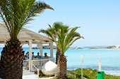 Ayia Napa
