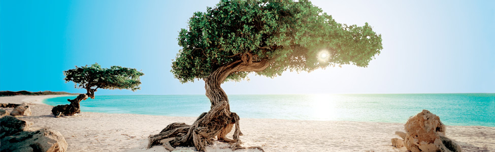 Aruba