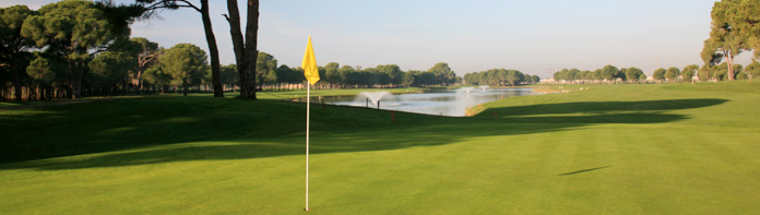 VingGolf