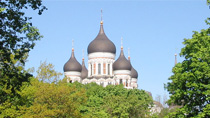 Tallin
