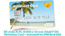 MyHoliday Card