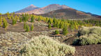 Teide